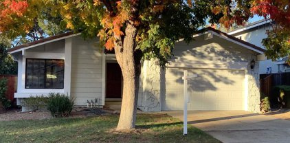 5311 Paso Del Rio Way, Concord