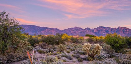14 W Shimmering Sand Unit #Lot 494, Oro Valley