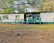 13031 Sw 95th Street, Dunnellon image