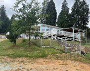 514 CANYONVILLE RIDDLE RD, Riddle image