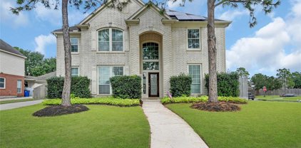 2893 Colony Falls Lane, Dickinson