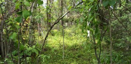 27060 N No Rd. Trail, Talkeetna