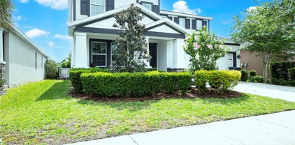 6309 Sunsail Place, Apollo Beach