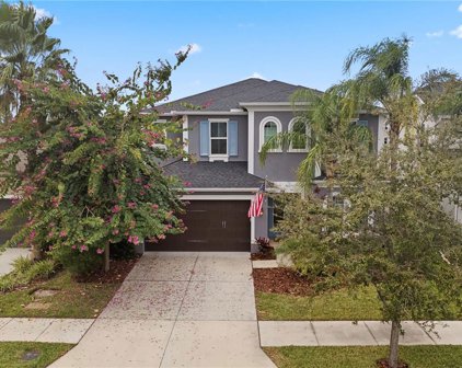 17910 Woodland View Drive, Lutz