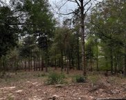 TBD Lot 215 Vintage Rd, Livingston image