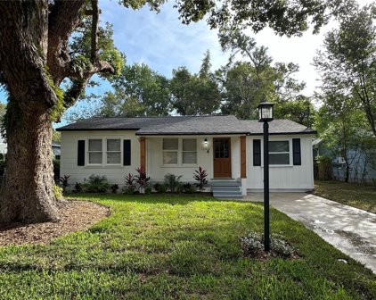 1303 E Diana Street, Tampa