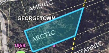 Lot 6 Arctic Claim, Georgetown