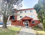 1735 Agassiz-Rosedale No 9 Highway Unit 216, Agassiz image