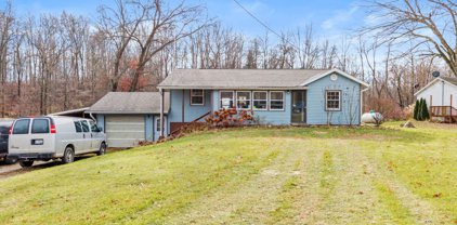 2287 Lyle Road, Ionia