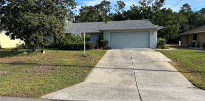 11281 Salters Street, Spring Hill