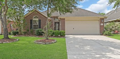 11808 White Water Bay Drive, Pearland