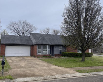 10254 Oak Leaf Drive, Olive Branch