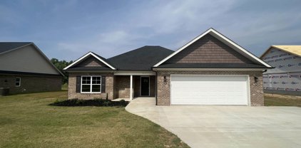311 Cherokee Creek, Gaffney