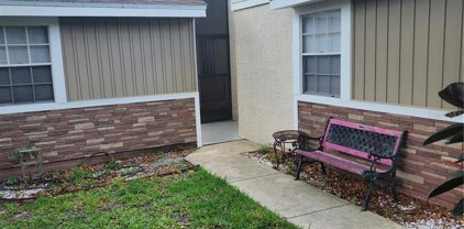 3338 Cloverplace Drive Unit 3338, Palm Harbor