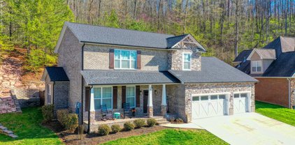 1446 Branch Field Lane, Knoxville
