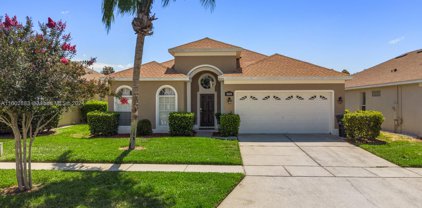 8144 Sun Palm Dr, Kissimmee