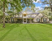 2003 Timber Ranch Drive, Magnolia image
