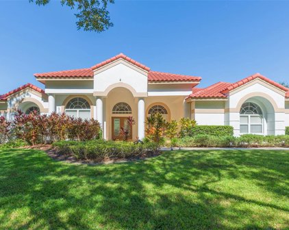8957 Magnolia Chase Circle, Tampa