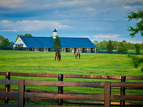 Homes with Acreage