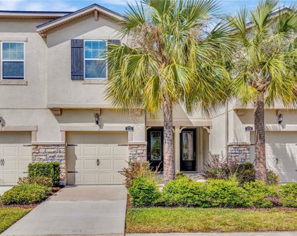 11726 Cambium Crown Drive, Riverview