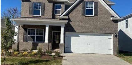 316 Ibis Place, Mount Juliet
