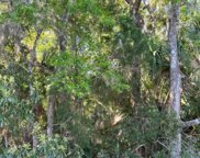 10569 W Crystal Waters Path, Crystal River image