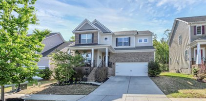 1817 Sapphire Meadow  Drive, Fort Mill