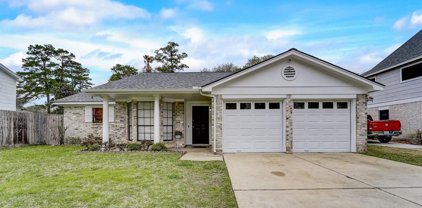 8310 Willow Forest Drive, Tomball
