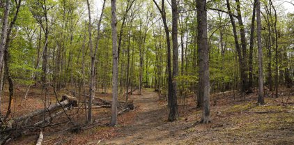 6203 Cherry Run Rd, Hedgesville