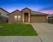 3110 Specklebelly Drive, Baytown image