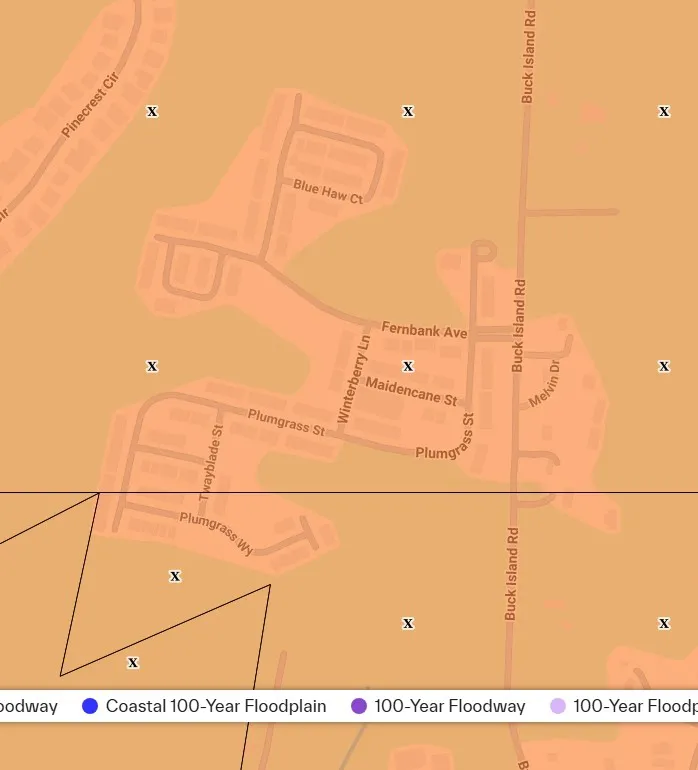 FEMA flood map showing the Wellstone townhome community in Bluffton, SC in Flood Zone X as of 10-17-26