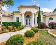 7248 N Tranquil Drive, Citrus Springs image