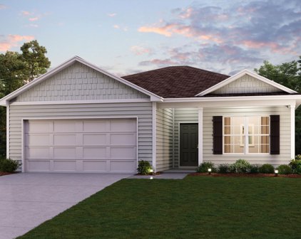 375 Ellis Ferry, Gaffney