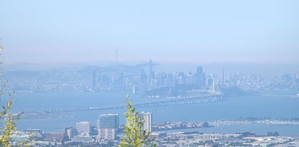Berkeley