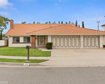 219 E Monroe Avenue, Orange