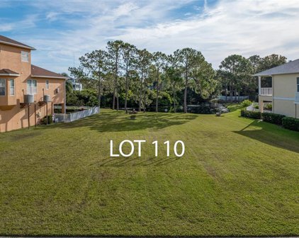 110 N POINTE ALEXIS DR N Pointe Alexis Drive, Tarpon Springs