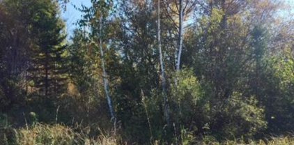 TBD County Road 429, Grand Rapids