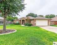 1603 Loving Trail, Belton image