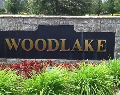 W Woodlake Cir, Mt Washington