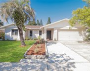 10410 Out Island Drive, Tampa image