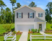 207 Coral Sunset Way, Summerville image