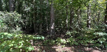 4510 Bale Court, Snellville