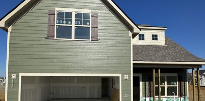 5814 Bear Trail, Rockvale