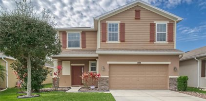 11613 Storywood Drive, Riverview