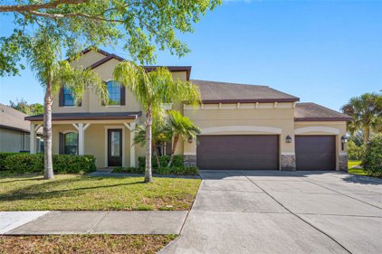 7917 Hampton Lake Drive, Tampa
