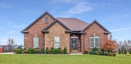 493 Barbara Sue Ln, Mt Washington