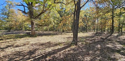 TBD County Road 2810, Mineola