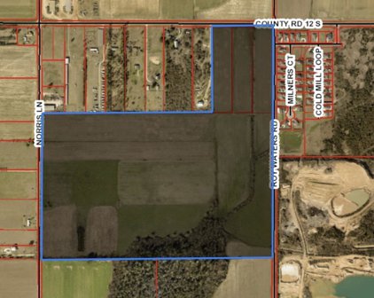 County Road 12, Foley