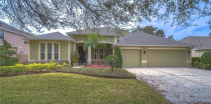 313 Carriage Oak Place, Seffner