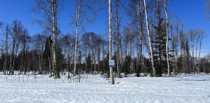 31456 S Salmon Alley Street, Talkeetna